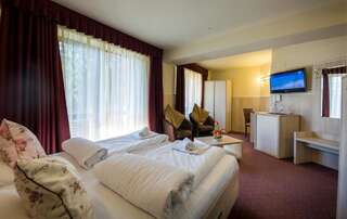 Отель Eden Grand Resort Предял Улучшенный двухместный номер с 1 кроватью-4